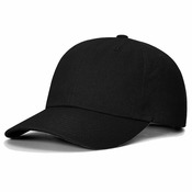 Sustainable Ashland Dad Hat